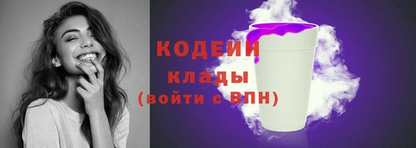 таблы Бородино