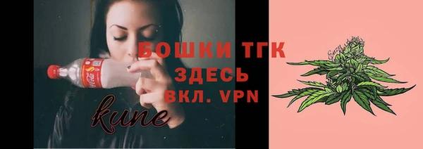 таблы Бородино