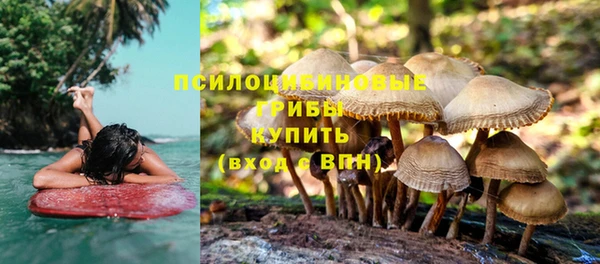 гидропоника Бронницы