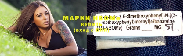 таблы Бородино