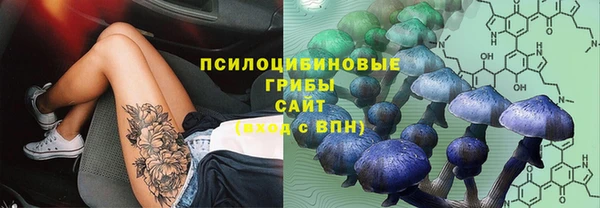 таблы Бородино