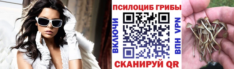 Галлюциногенные грибы мицелий  KRAKEN сайт  Коркино 